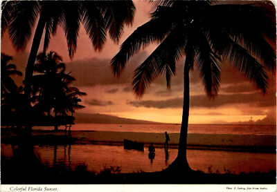 E. Ludwig, John Hinde Studios, Florida, Sunshine State, Ireland Postcard