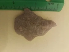 AUTHENTIC NATIVE AMERICAN INDIAN ARTIFACT FOUND IN EASTERN N. C. ...J-27