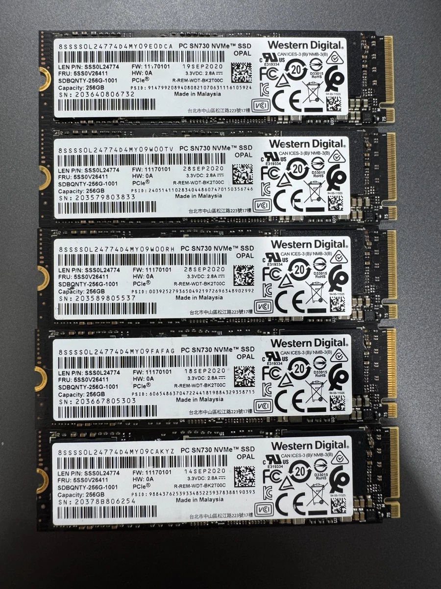 Western Digital M.2 Interface 256 GB Solid State Drives for sale