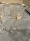 Tiffin-Franciscan Vintage Wine Glasses Fern Pattern Set of 2 — photo 3