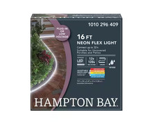 1000 Lumen 16 ft. Adjustable Color 120V Plug-...