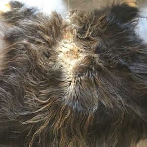 Complete Musk Ox Hide Pelt For Cabin Rug Or Wall