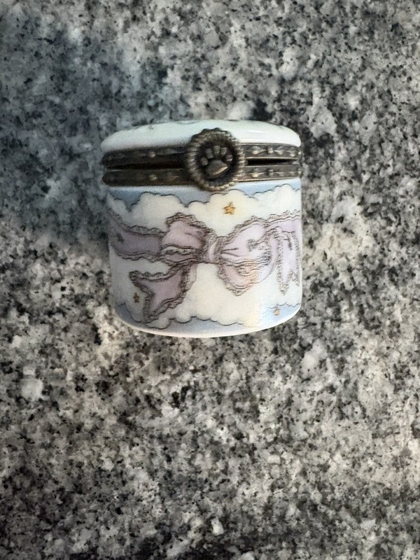BOYDS BEATRICE COLLECTION HINGED KEEPSAKE BOX - ANGELICA...THE GUARDIAN