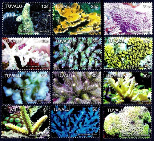 Tuvalu 2006 Corals Wildlife Marine Nature Conservation 12v set MNH - Bild 1 von 1