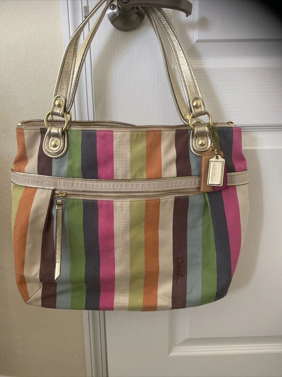 Rainbow stripe coach purse sale