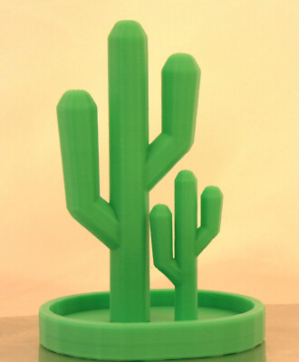 Cactus Display Decor Rack Stand Dish Height 4'' to 8'' Desktop Table