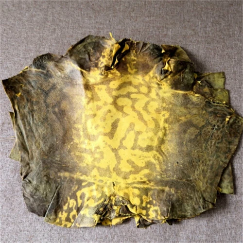 2 Stück Bullfrog Froschhaut Leder Handwerk Uhr Spezialmaterial Verschiedene Farben Zum Selbermachen - Bild 20 von 37