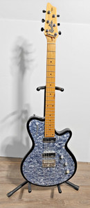 Godin Radiator | eBay