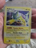 Raikou HOLO BLEED 16/132 - 2007 Pokemon Diamond & Pearl - Secret Wonders LP