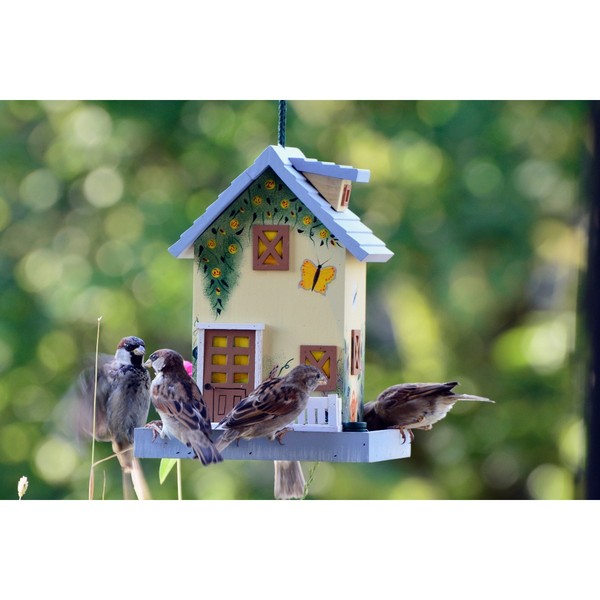 Vogelhaus Vogelfutterhaus Zum AufhäNgen VogelhäUschen Holz Vogelvilla Bunt-image