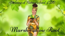 Marshmallow root