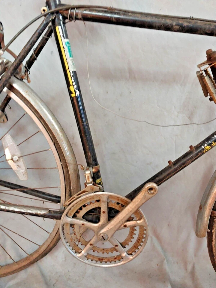 1984 Schwinn World Sport Touring Bicicleta de Estrada 54cm Pequena Aço Cromado Lugged Masculina - Imagem 4 de 4