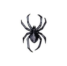Patch - C&D Visionary - Animals Black Widow Spider 2.5"x3.5" NEW Iron-On