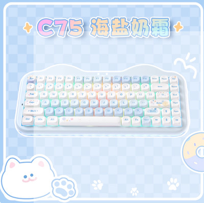 Yunzii C75 Tri-Mode Wireless Keyboard| RGB Backlit, Hot-Swappable - Blue