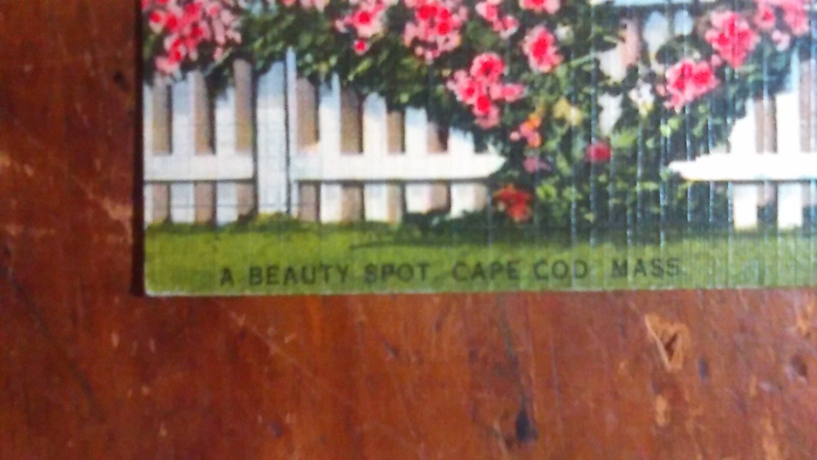 A Beauty Spot, Cape Cod, MA 1942 (The Old Thatcher Place, Yarmouth