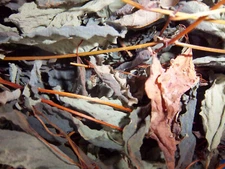 Dried Jewelweed, instant relief of POISON IVY, Sumac & Oak. (1) 2 oz