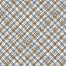 Wildwood Diagonal Plaid Y4372-141 Slate Fabric Beth Grove BTHY