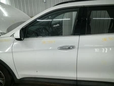 Driver Left Front Door LWB Fits 13-19 SANTA FE 104900943