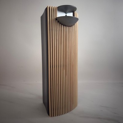 Bang & Olufsen Beolab 7-4 Holz Lamellen