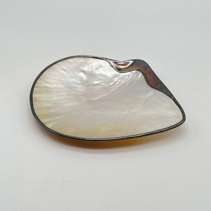 Mother of Pearl Abalone Shell Dish Dark Metal Trim Caviar Serving Tray
