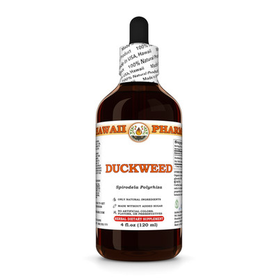 Duckweed (Spirodela Polyrhiza) Dried Herb Liquid Herbal Extract