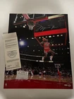Bulls Michael Jordan Authentic Signed 20x24 Upper Deck