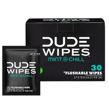 DUDE Wipes On-The-Go Mint Chill Adult Flushable Travel Wipes, 30 Count