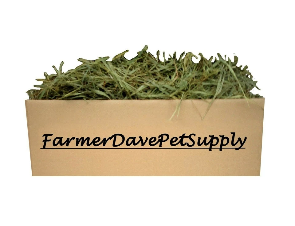FARMERDAVEPETSUPPLY 5 Lb. PREM. 2nd Cut Timothy Hay-Bunny,Chinchilla,Guinea Pig