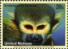 UN New York #Mi1046 MNH 2007 Common Squirrel Monkey Saimiri sciureus [926]