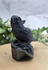 Black Druzy Agate Parrot/Cockatoo Hand-Carved Figurine, Crystal Parrot Cockatoo 