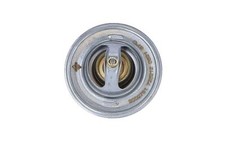 Thermostat Nissan STANZA