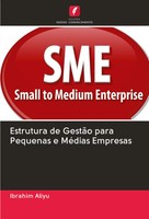 Ibrahim Aliyu | Estrutura De GestãO Para Pequenas E MéDias Empresas | Buch
