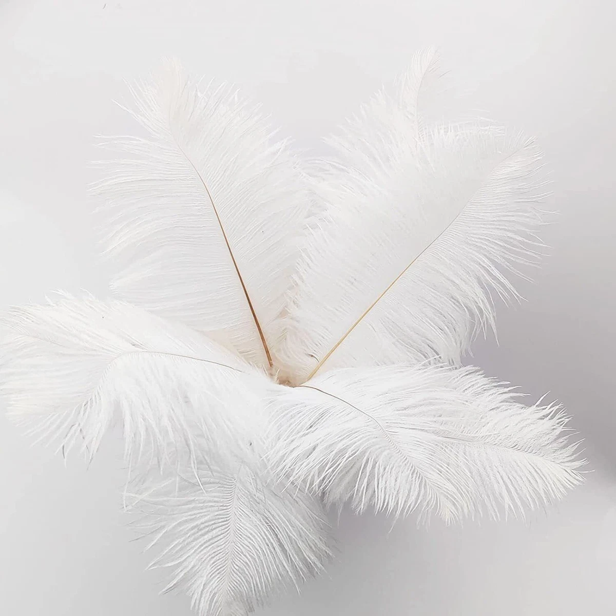 White Ostrich Feathers, 10/pkg