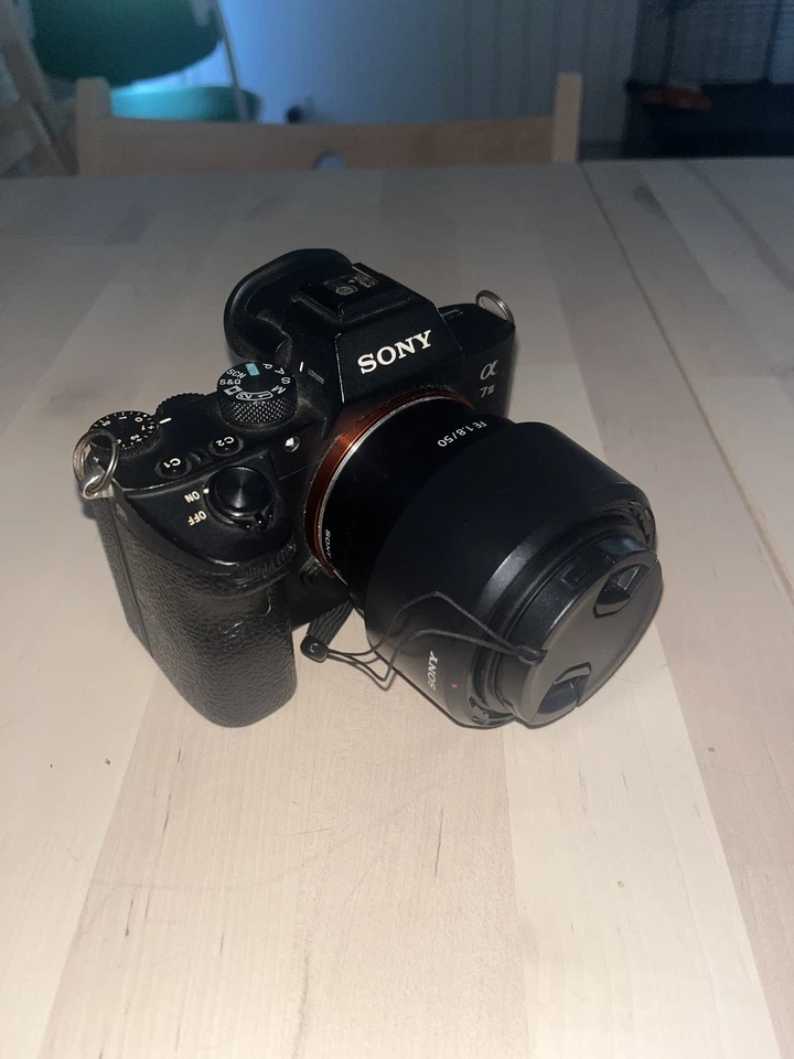 Sony Alpha 7 III, photo 3 sur 4