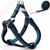Hundegeschirr Mit Leine FüR SpaziergäNge Und Training, 120 Cm, GrößE S, Blau