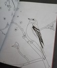 Picture 13 of 14