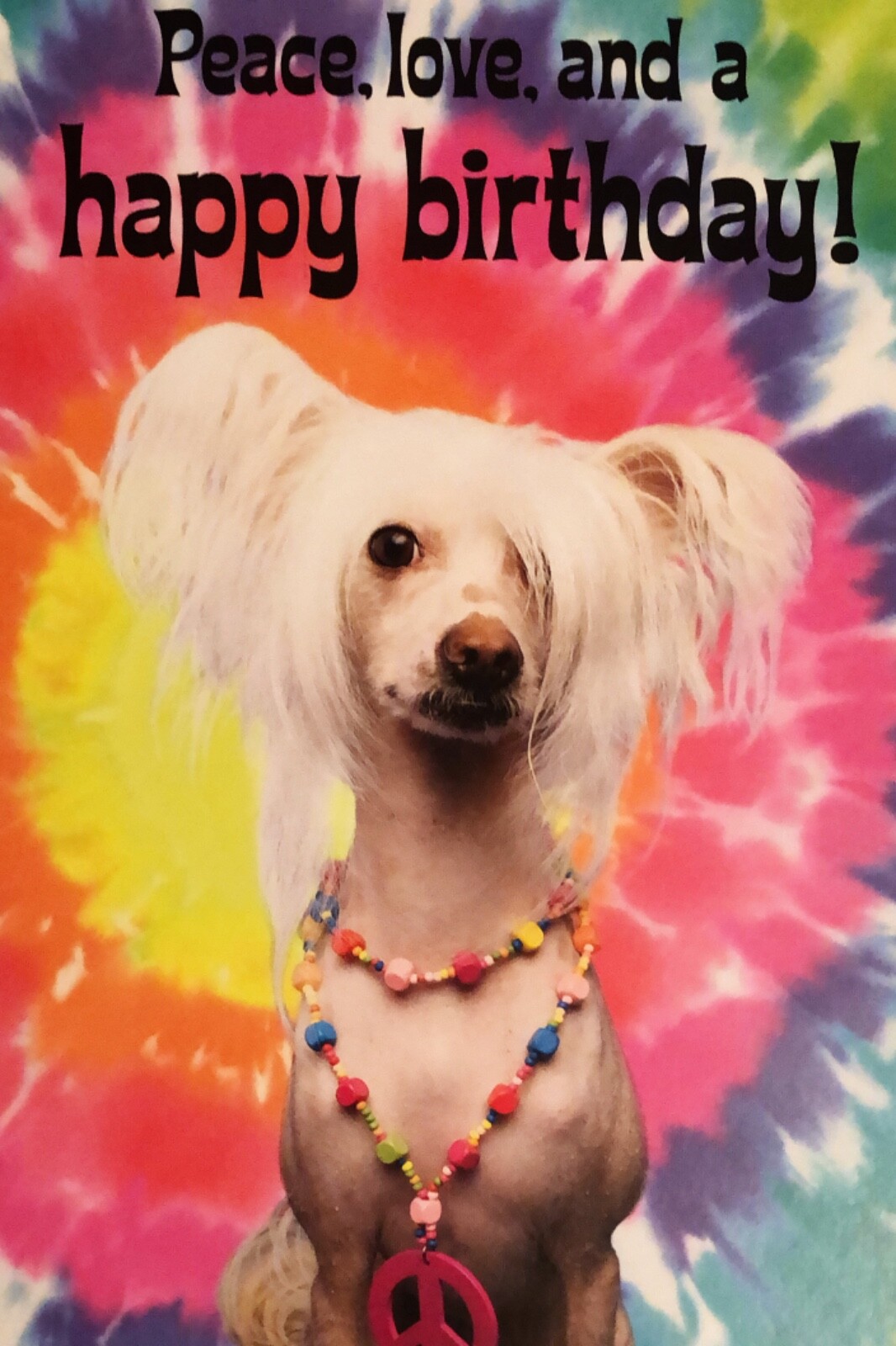 Funny Birthday Dog