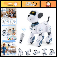 Interactive Robot Dog Toy for Kids - Remote Control, Programmable, Singing  Dan
