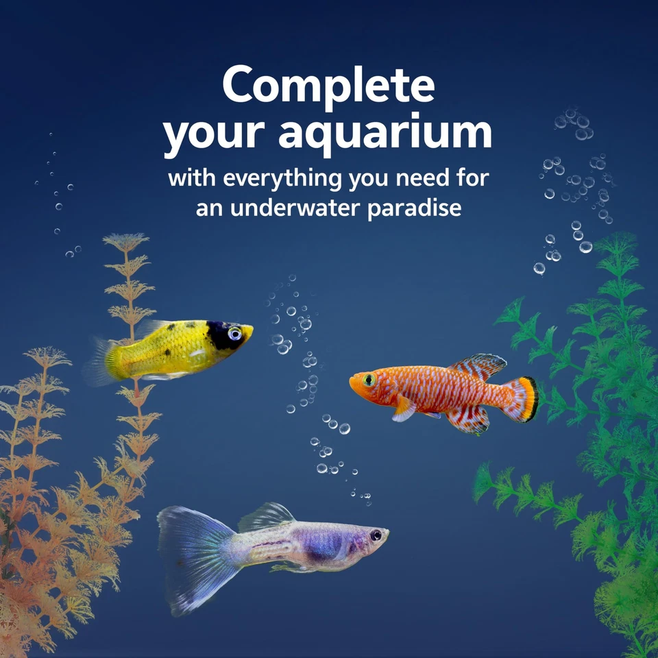 Kit de inicio para acuario de 10 galones | Filtro, calentador, red, termómetro y alimentos Foto 3 de 4