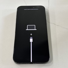 Apple iPhone 16 Pro Max 256GB Black Titanium ...
