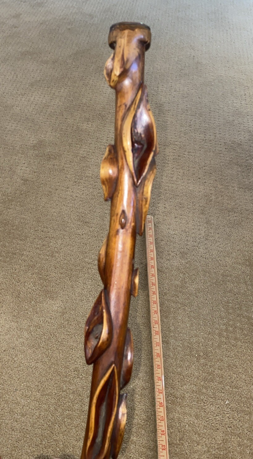 Picture 5 of 24