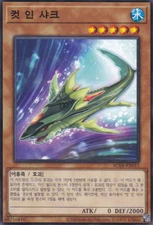 [AC04-KR015] Common "Cutter Shark" Korean