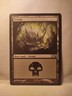 Magic The Gathering MTG Basic Land Swamp 2013 M14 