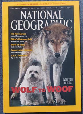 National Geographic Magazine - January 2002 Issue - Wolf To Woof: Dog Evolution