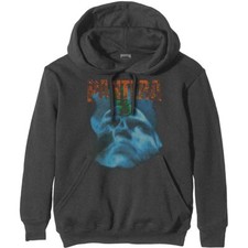 Pantera Far Beyond Driven World Tour Sweatshirt Grey New
