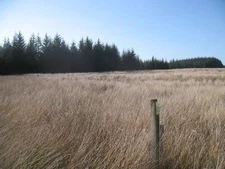 Photo 6x4 A wide ride Springhill/NS8858 A wide gap in the trees and runn c2009