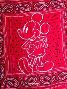 Coach Disney Scarf | eBay