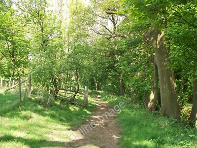 Photo 6x4 Out of the woods Saintbury The bridleway exits from the woods a c2010