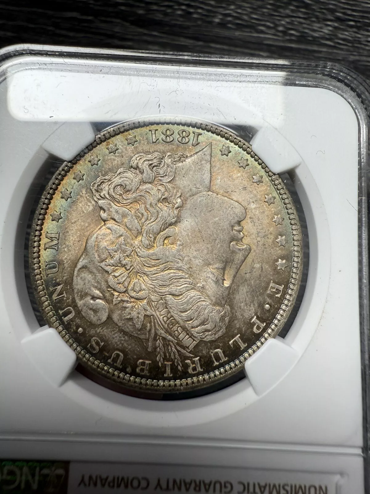 Picture 5 of 15