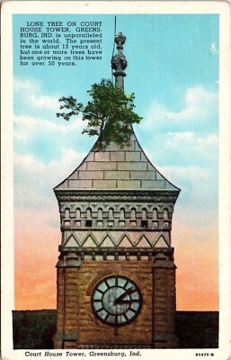 Lone Tree Court House Tower Vintage Unposted Clock Ridgewood 1946 Pm Postcard